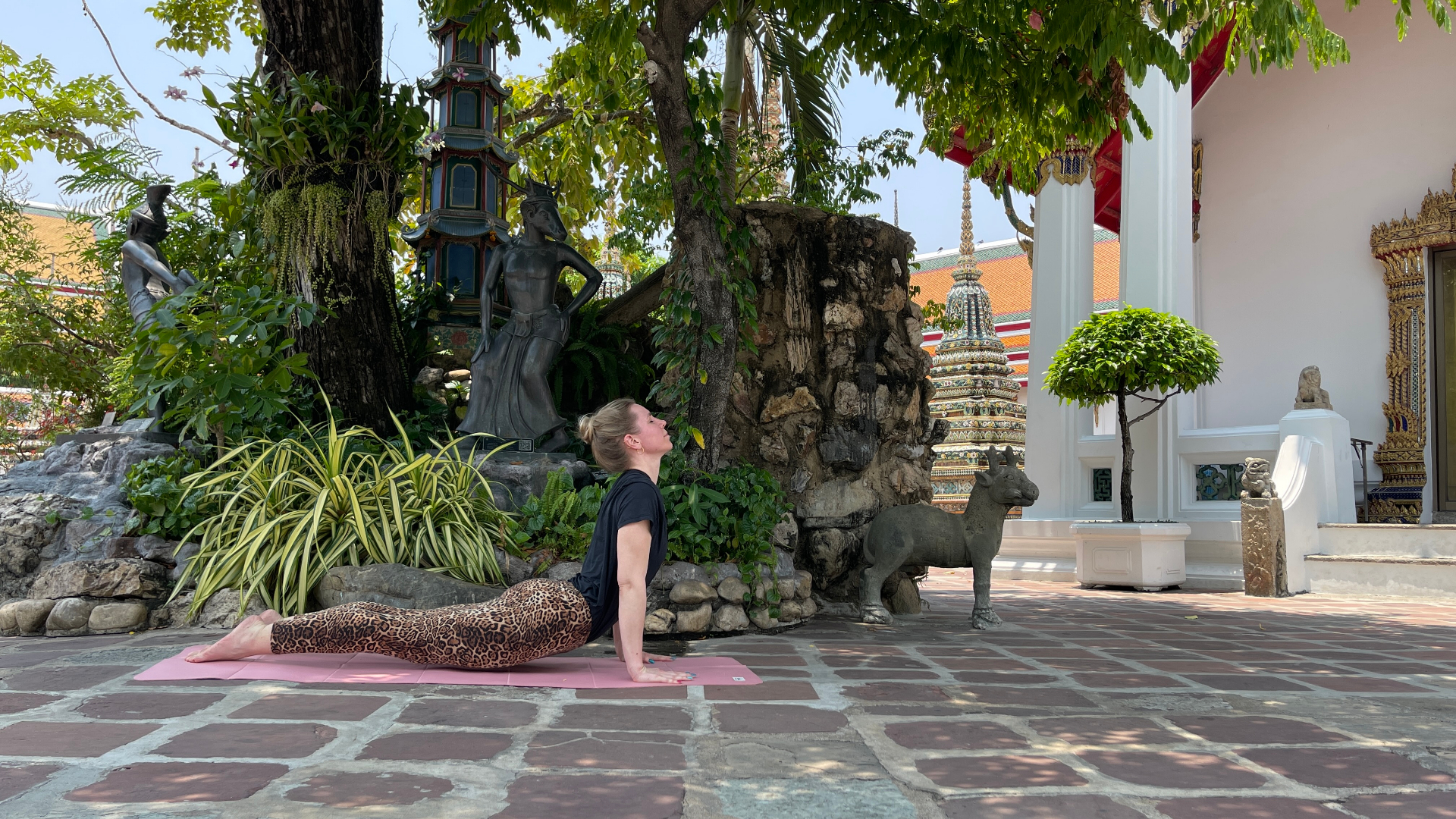 Yoga-Auszeit in der Natur – Yoga & Longevity Retreat